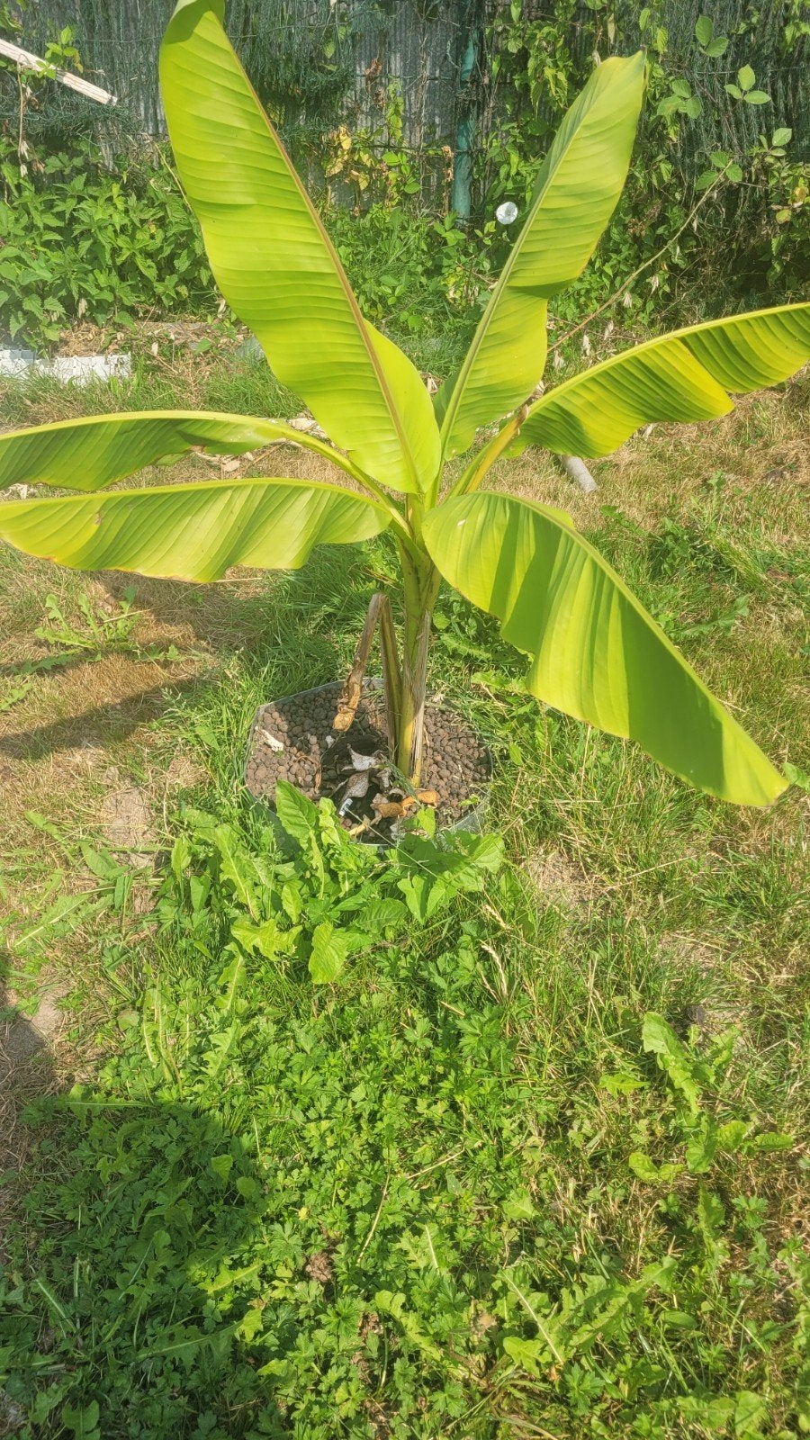 loc adr, Immo, 35 à 50 m²