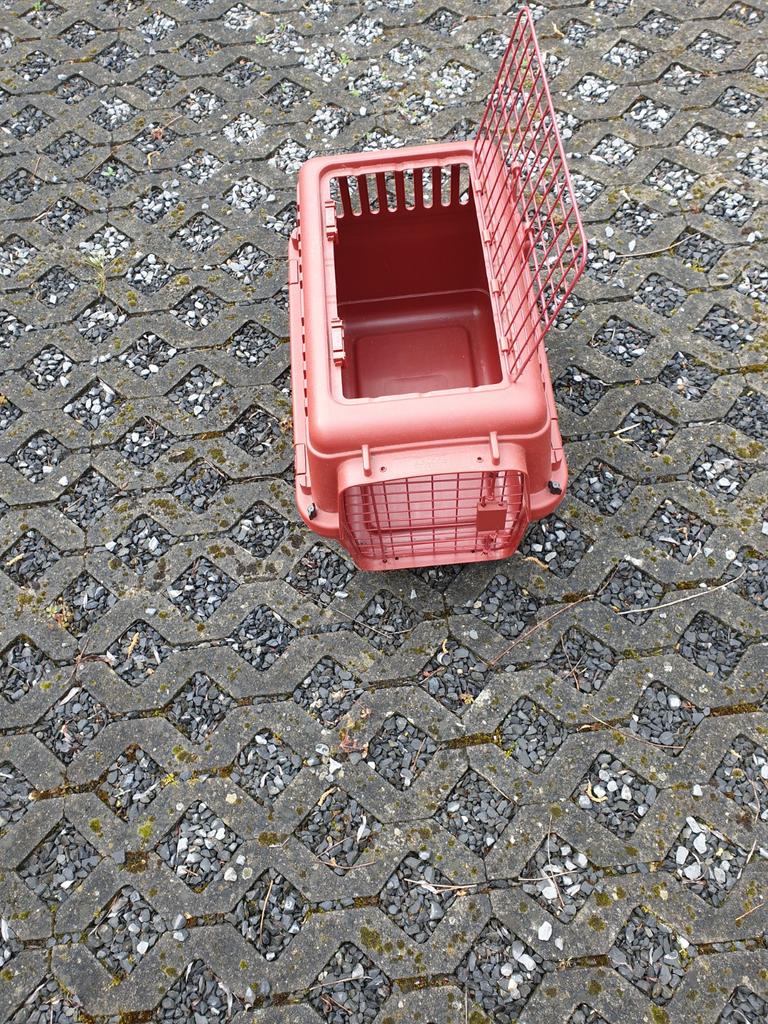 Boîte de transport pour chat, Animaux & Accessoires, Enlèvement
