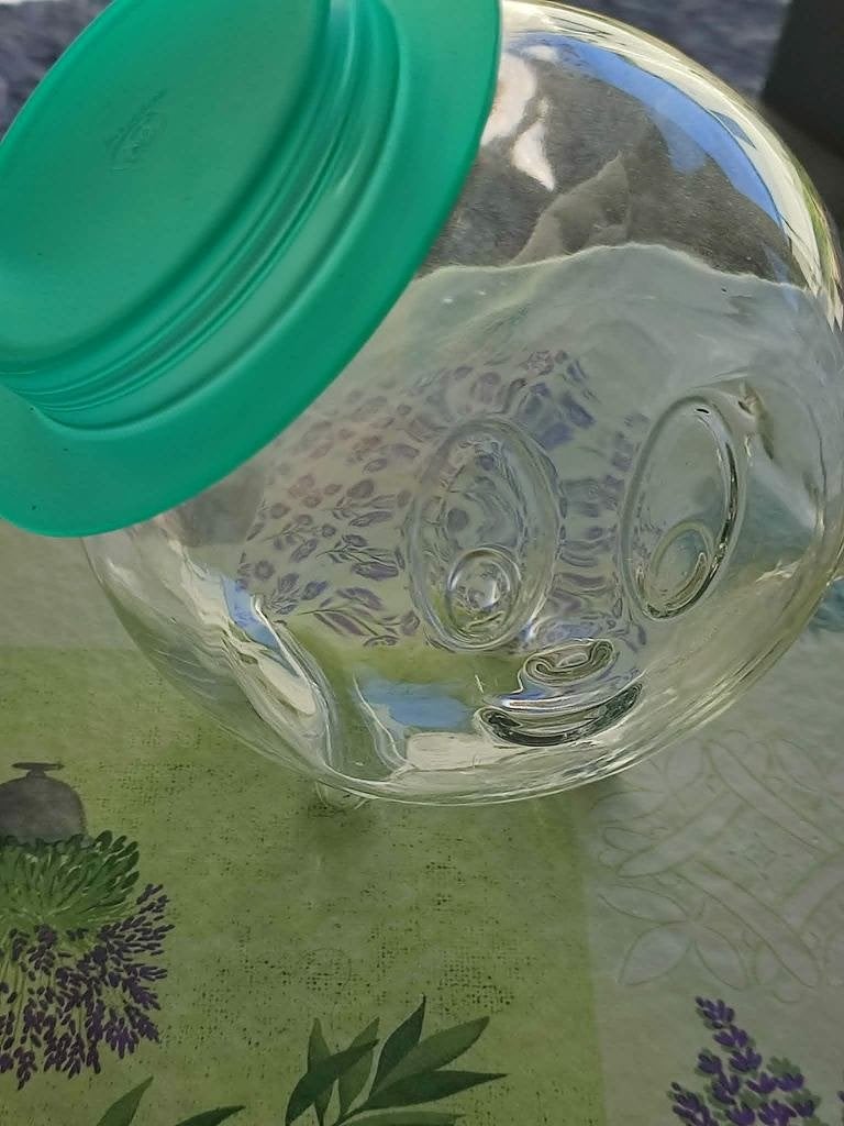 Snoeppot, Ophalen, Zo goed als nieuw, Voorraadpot, Groen
