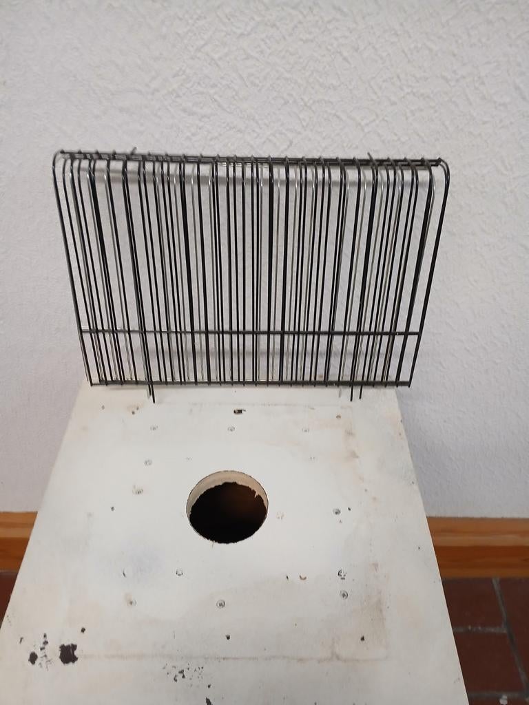 Voorfront tt kooi, Enlèvement