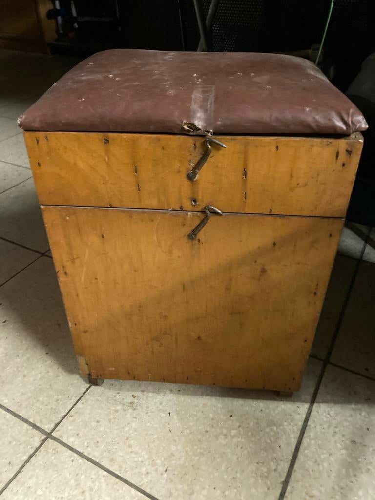 Vinted visbak, Ophalen, Gebruikt, Koffer of Tas