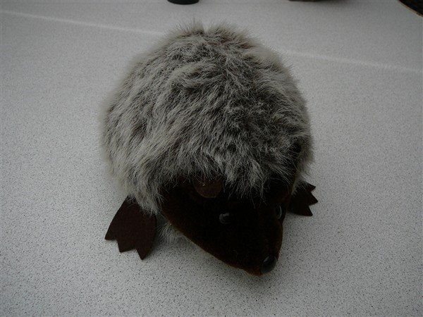 Mooie knuffel egel, Enlèvement ou Envoi, Overige karakters, Comme neuf, Moyen (20 à 80 cm)