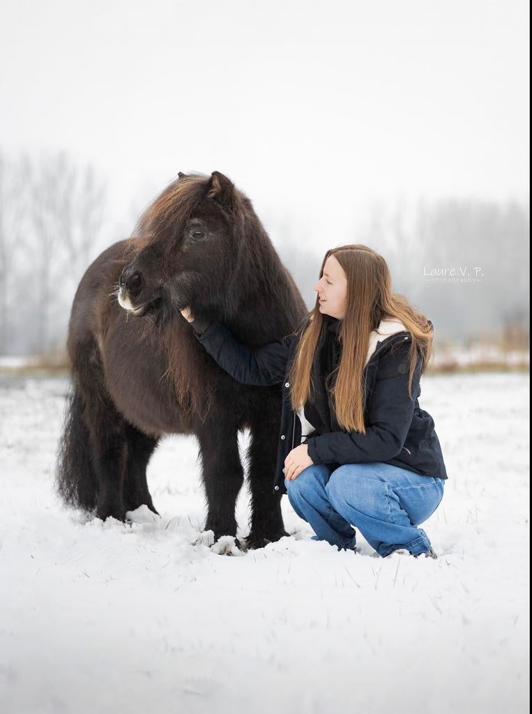 Hulp met paarden leren, Ophalen