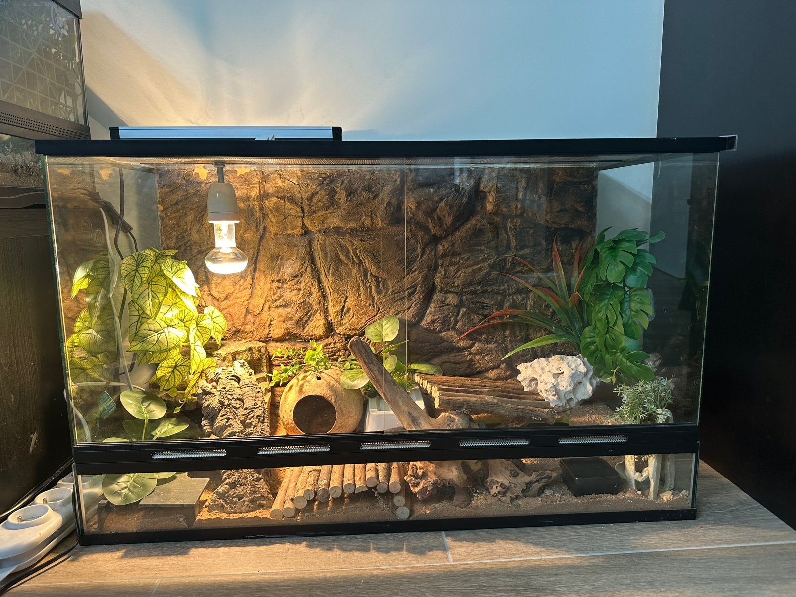 Terrarium + achterwand ZONDER deco, Enlèvement, Comme neuf