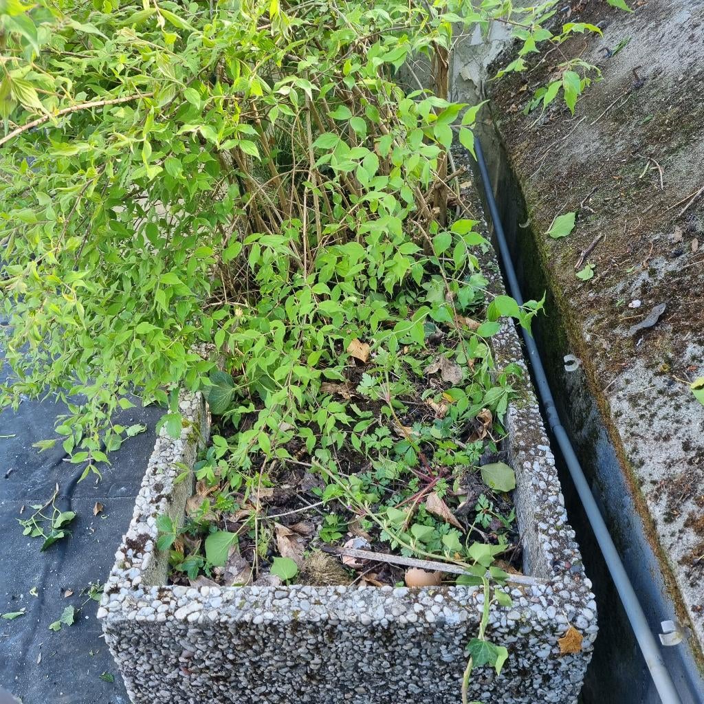 Bac à fleur beton, Jardin & Terrasse, Bacs à fleurs & Jardinières, Enlèvement, Utilisé, Béton