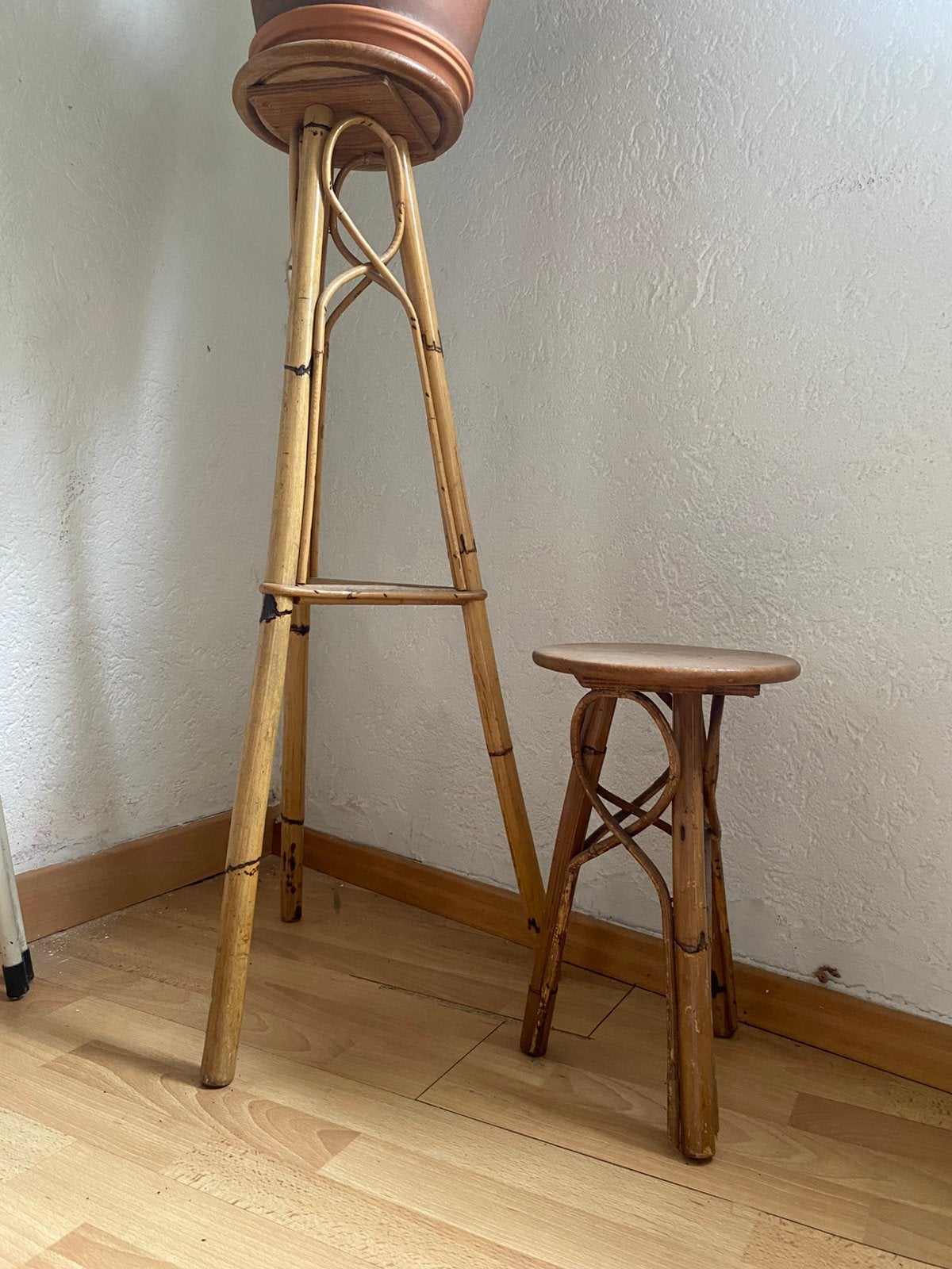 Rotan plantenstandaarden, Ophalen, Zo goed als nieuw
