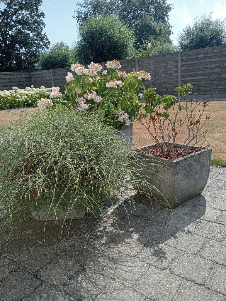Bloempotten, Tuin en Terras, Ophalen, Gebruikt, Tuin