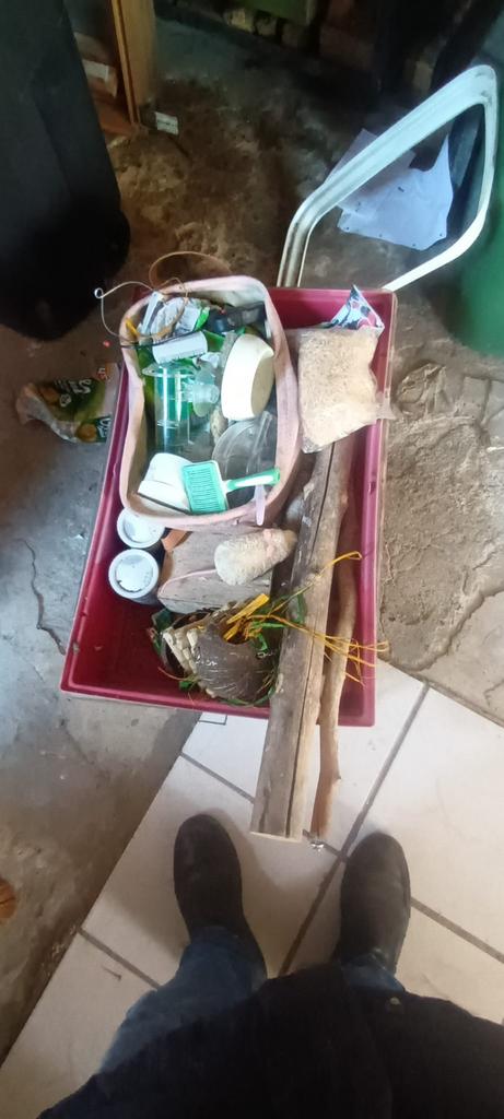 Papegaai spullen te koop!, Dieren en Toebehoren, Vogels | Parkieten en Papegaaien, Papegaai