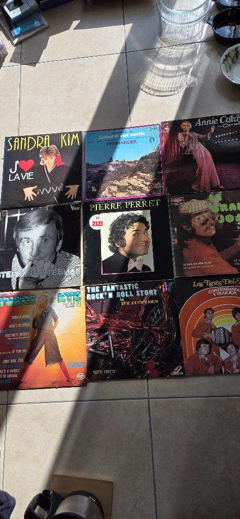 33 draaitafels op vinyl, Sandra Kim en anderen, Ophalen, Zo goed als nieuw