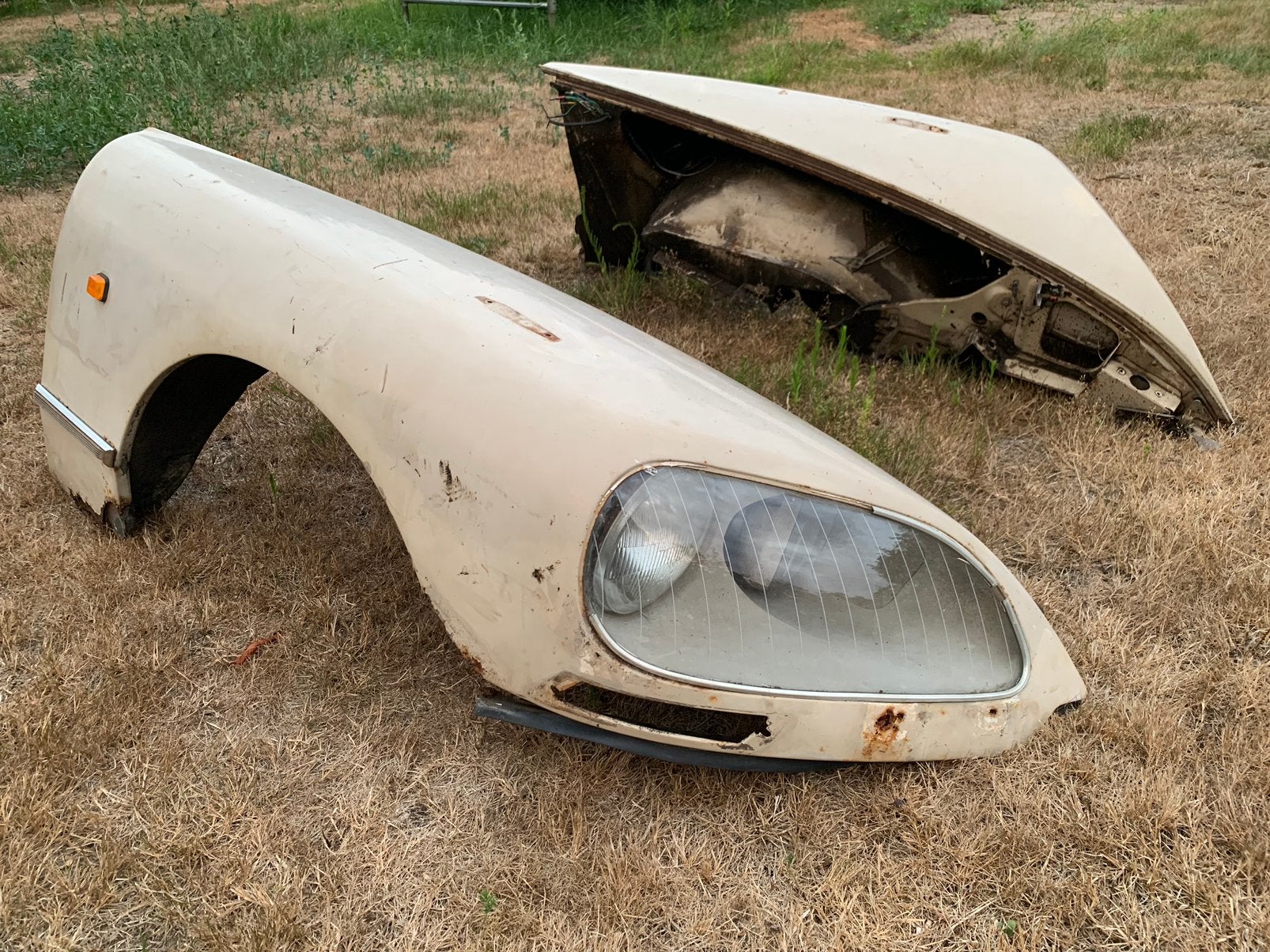 CITROËN DS - Plaatwerk, Ophalen, Citroën, Motorkap