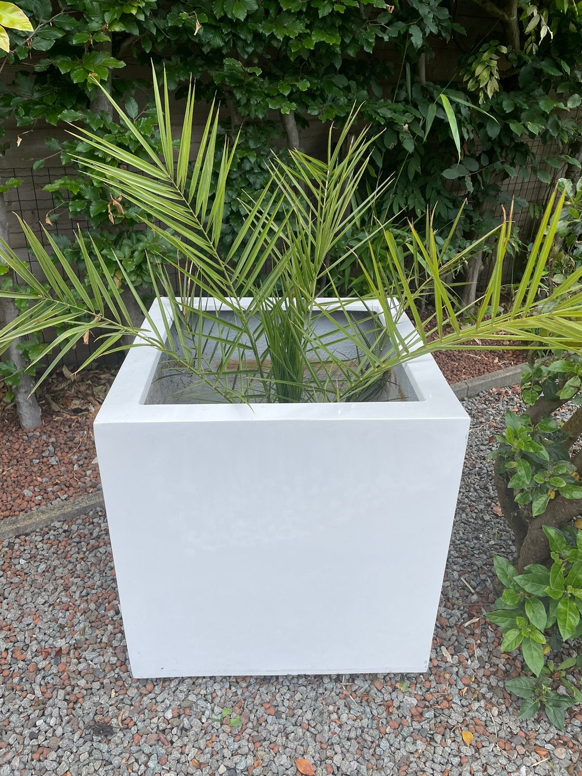 Plantenbak, Ophalen, Zo goed als nieuw
