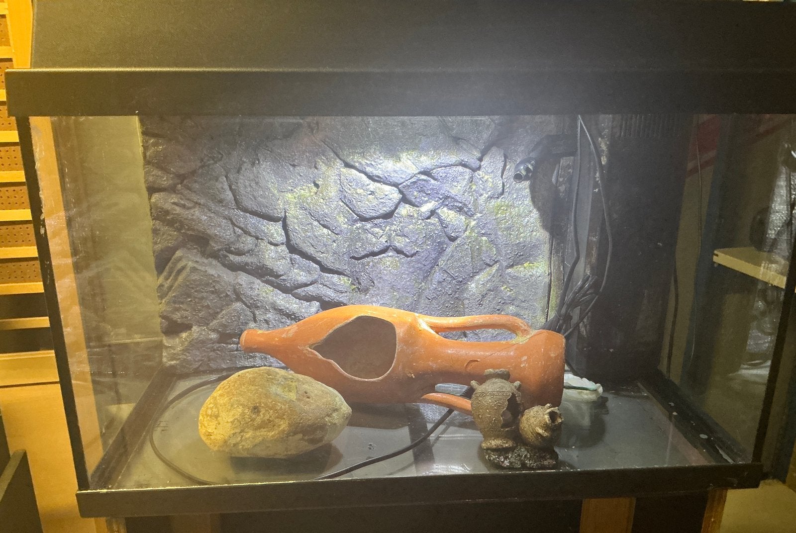 Aquarium, Animaux & Accessoires, Enlèvement, Accessoires inclus, Utilisé, Aquarium vide