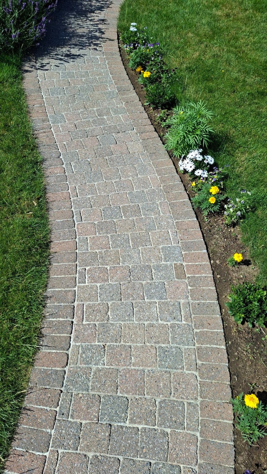 Betonklinkers  herfst kleuren., Tuin en Terras, Ophalen, Multi, Overige materialen
