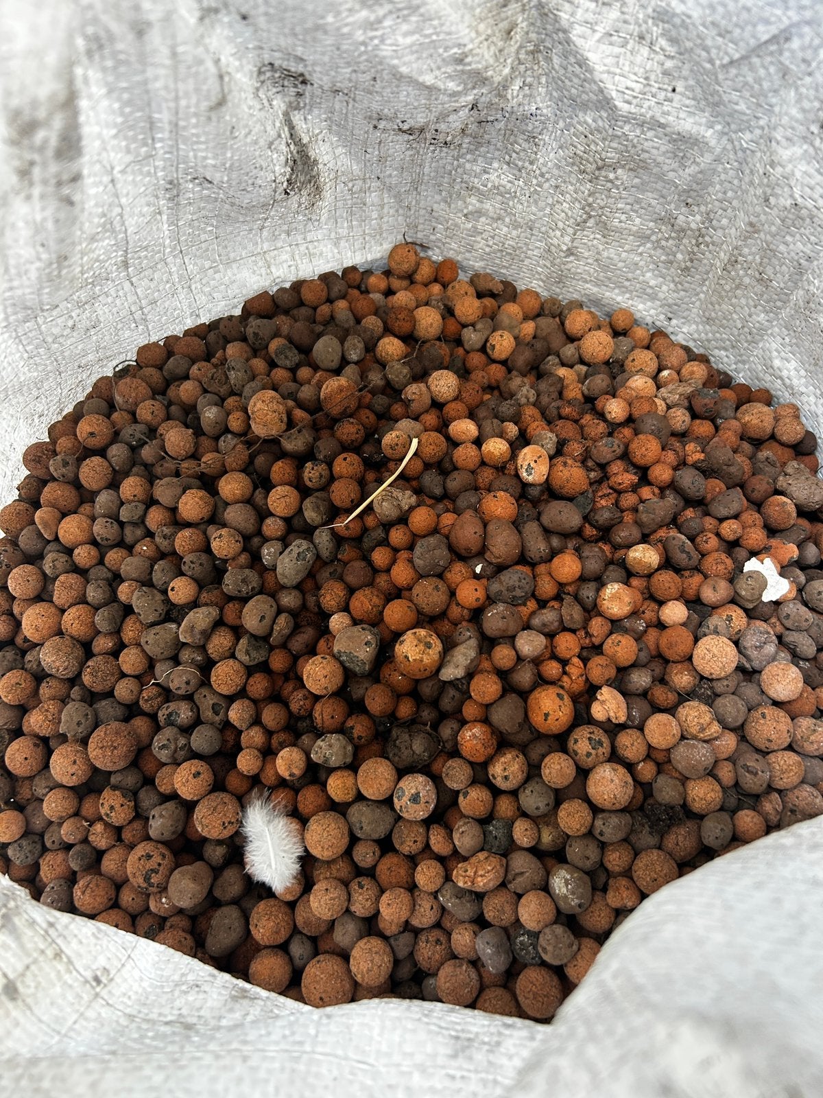 A donner - 2 gros sacs de bille d’argile pour jardinières, Jardin & Terrasse, Enlèvement, Utilisé