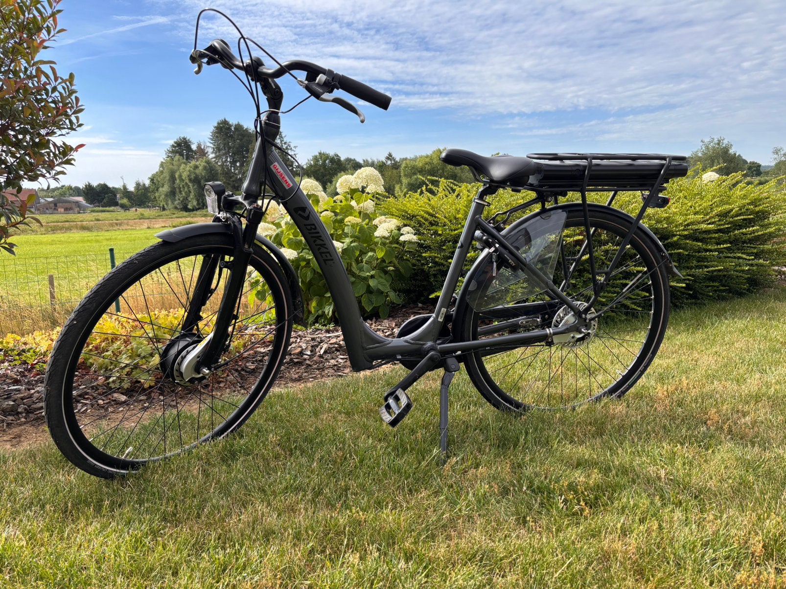E- bike bikkel, Fietsen en Brommers, Gebruikt, Versnellingen, Minder dan 47 cm, Ophalen