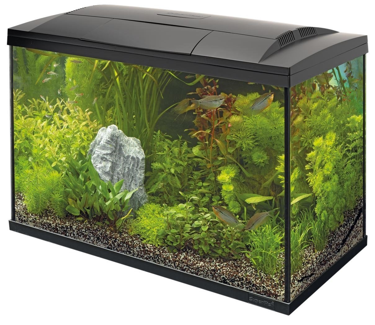 SuperFish 100 L aquarium +led verlichting + verwarming+decor, Dieren en Toebehoren, Ophalen, Inclusief deksel, Nieuw, Leeg aquarium