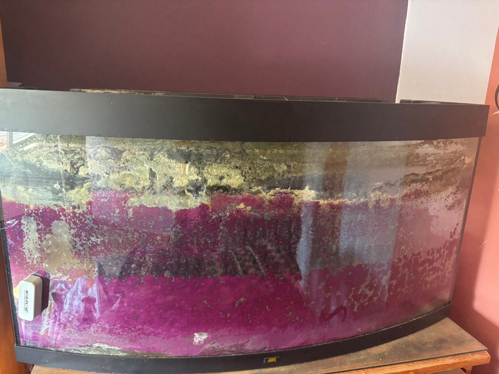 Aquarium 250l, Ophalen, Gebruikt, Leeg aquarium, Juwel