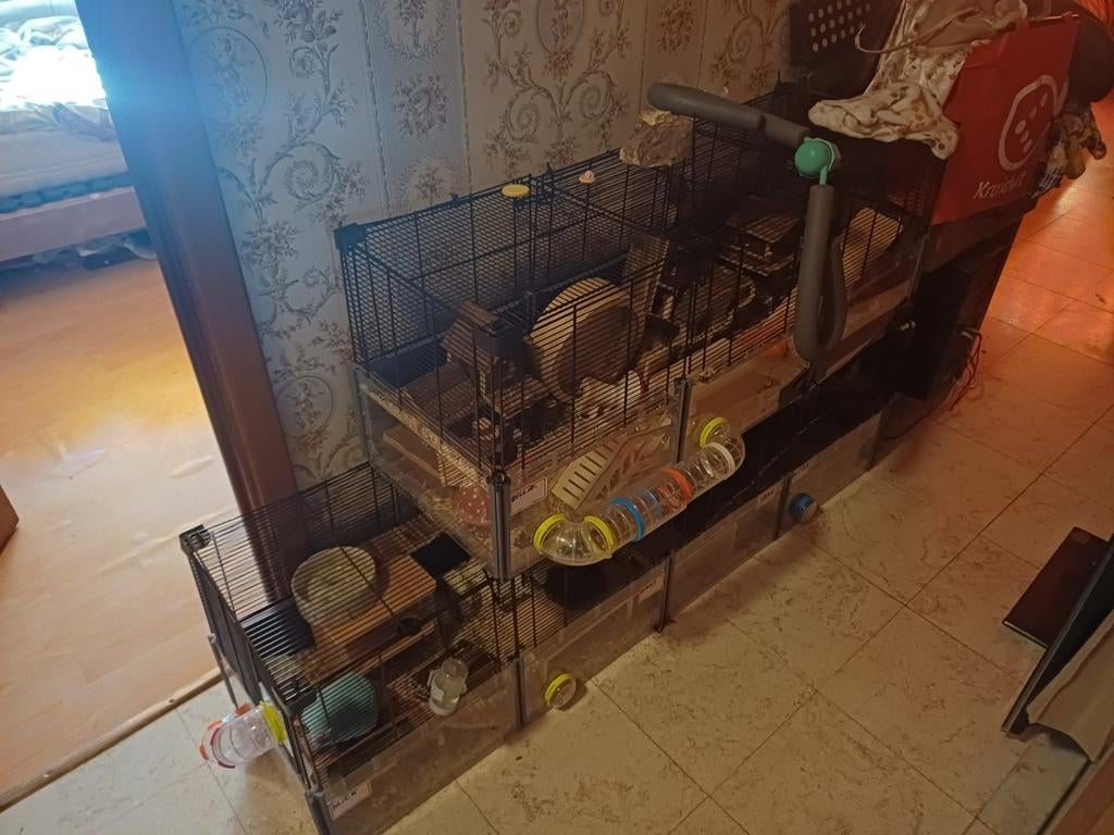 Hamsterkooi, Ophalen