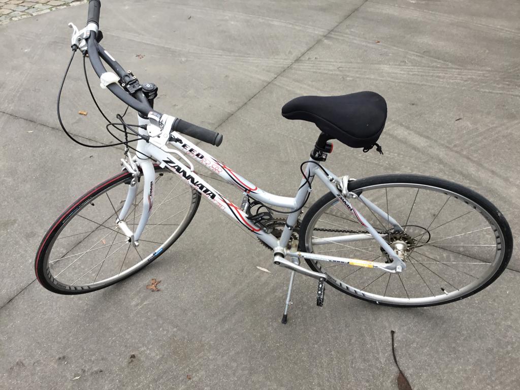 Dameskoersfiets, Ophalen, Zo goed als nieuw, Dames, Versnellingen