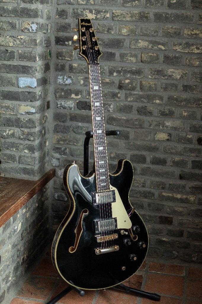 Aria Pro ll TA 60 model ES 335, Ophalen, Gebruikt, Hollow body, Gibson