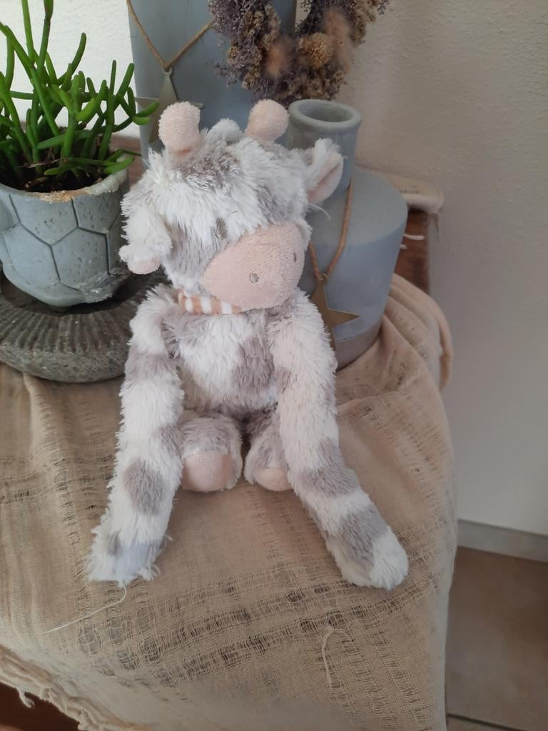 À partir de 2 €/pièce, en parfait état, Enlèvement, Neuf, Vache