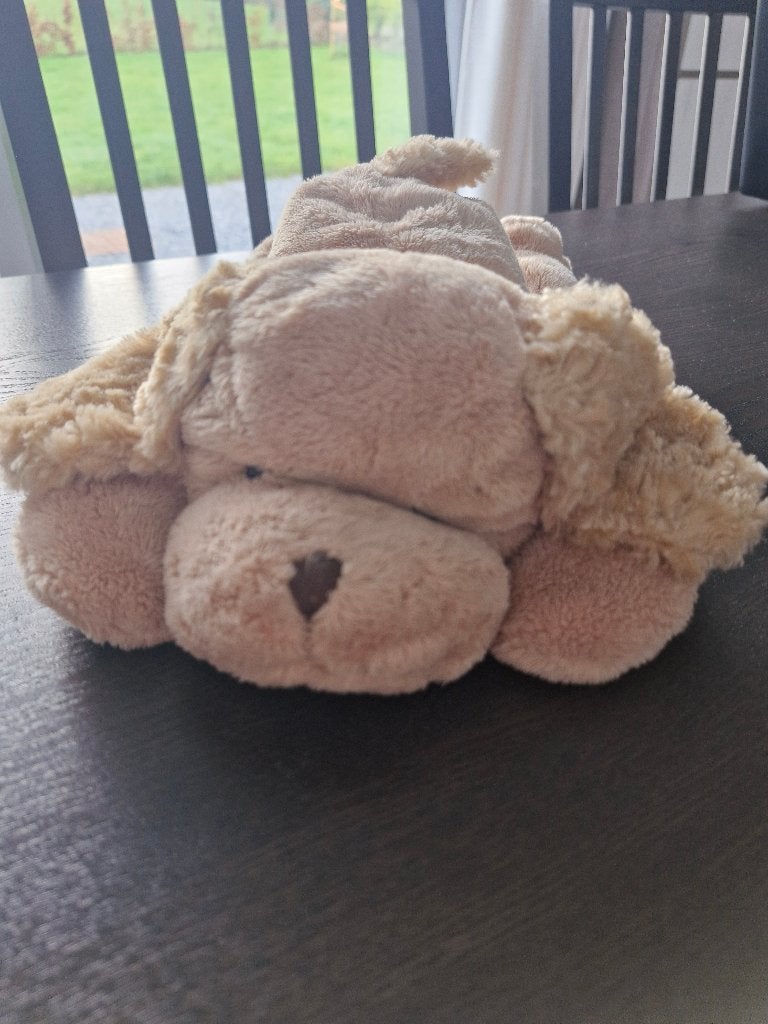 Peluche chien, Avec étiquette, Autres marques, Chien, Comme neuf