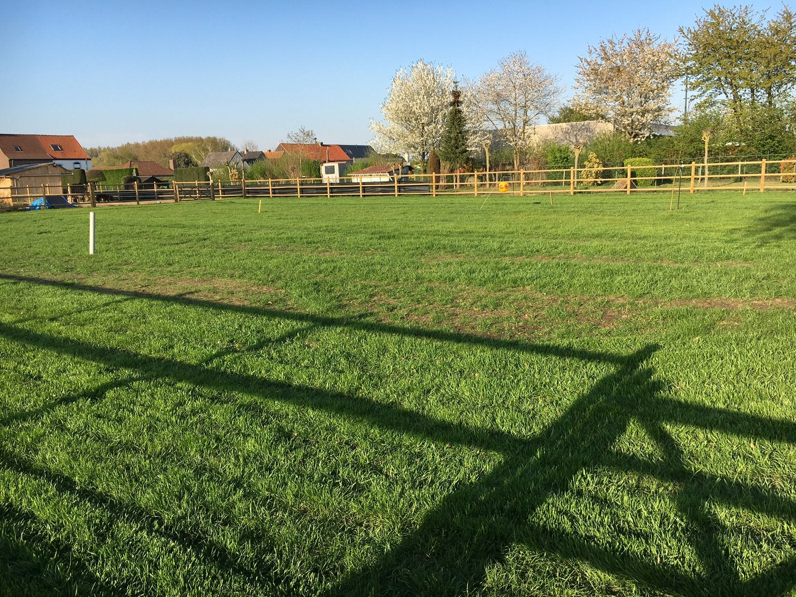Te huur: weide en stalling jaarling of paard op pensioen, Stalling