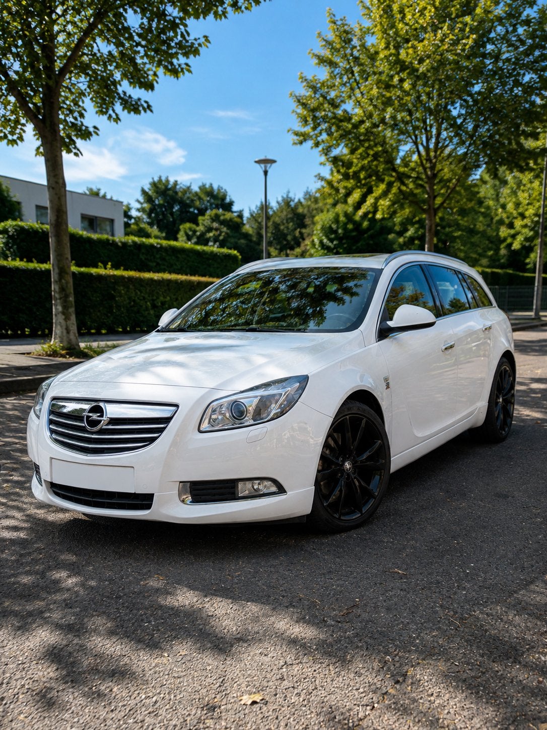 Opel Insignia Sports Tourer 2.0 CDTI OPC Line, Auto's, Euro 5, Zwart, Wit, Leder