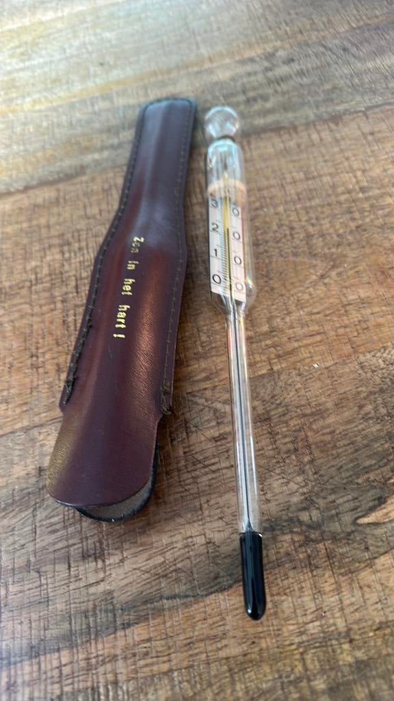 Wijn thermometer in leder etui, Ophalen of Verzenden, Zo goed als nieuw