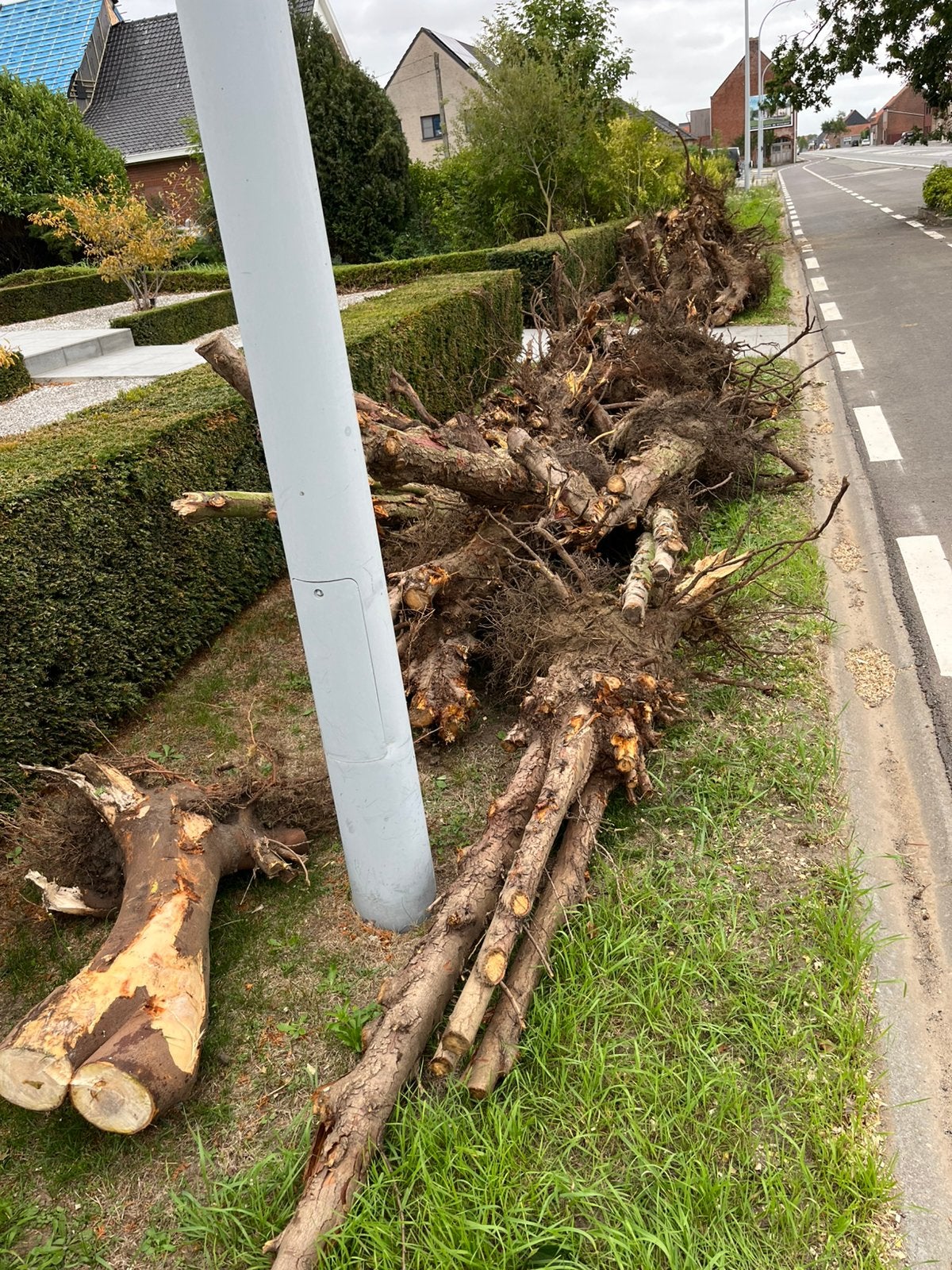 Gratis op te halen om te verzagen, Tuin en Terras, Ophalen
