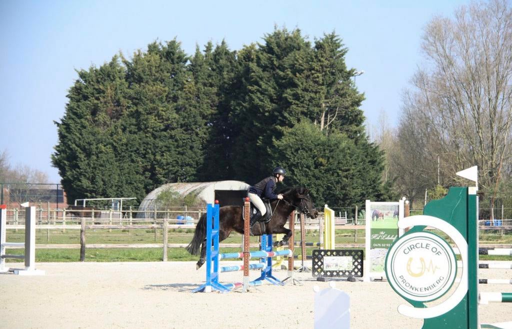 C pony te koop, Dieren en Toebehoren, Merrie, B, 3 tot 6 jaar, C pony (1.27m tot 1.37m)