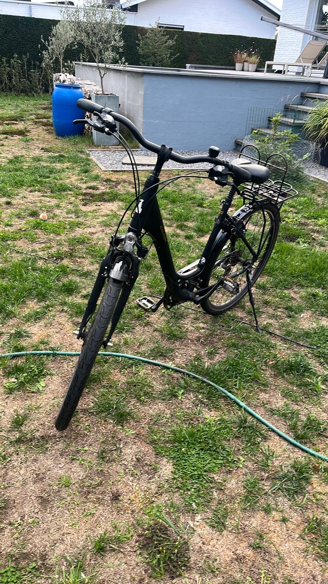 Raleigh damesfiets, Enlèvement, Utilisé, Vitesses
