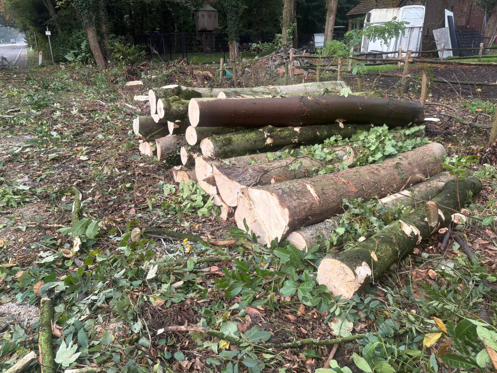 Brandhout 3 meter esdoorn berk els, Tuin en Terras, Ophalen of Verzenden