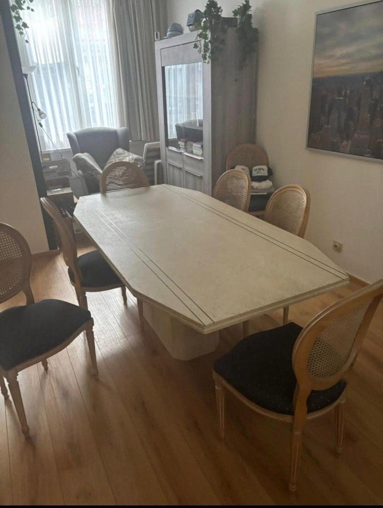 Eettafel + 8 stoelen, Huis en Inrichting, Tafels | Eettafels, Ophalen, Overige materialen, 200 cm of meer, 50 tot 100 cm
