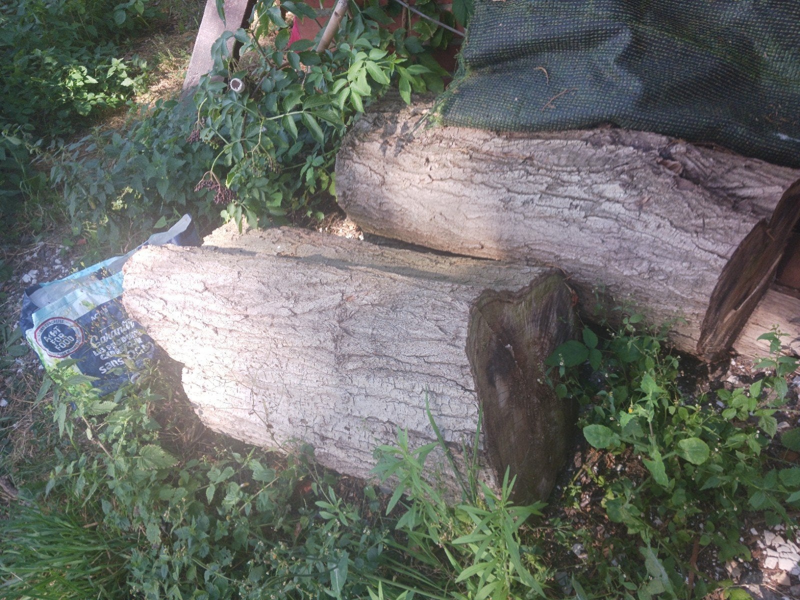 brandhout wilgboom en berk, Jardin & Terrasse, Bois de chauffage, Enlèvement, Bouleau