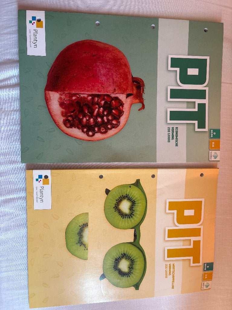 Leerwerkboeken PIT 2de graad doorstroom, Livres, Livres scolaires, Sciences sociales, Plantyn, Comme neuf, Enlèvement