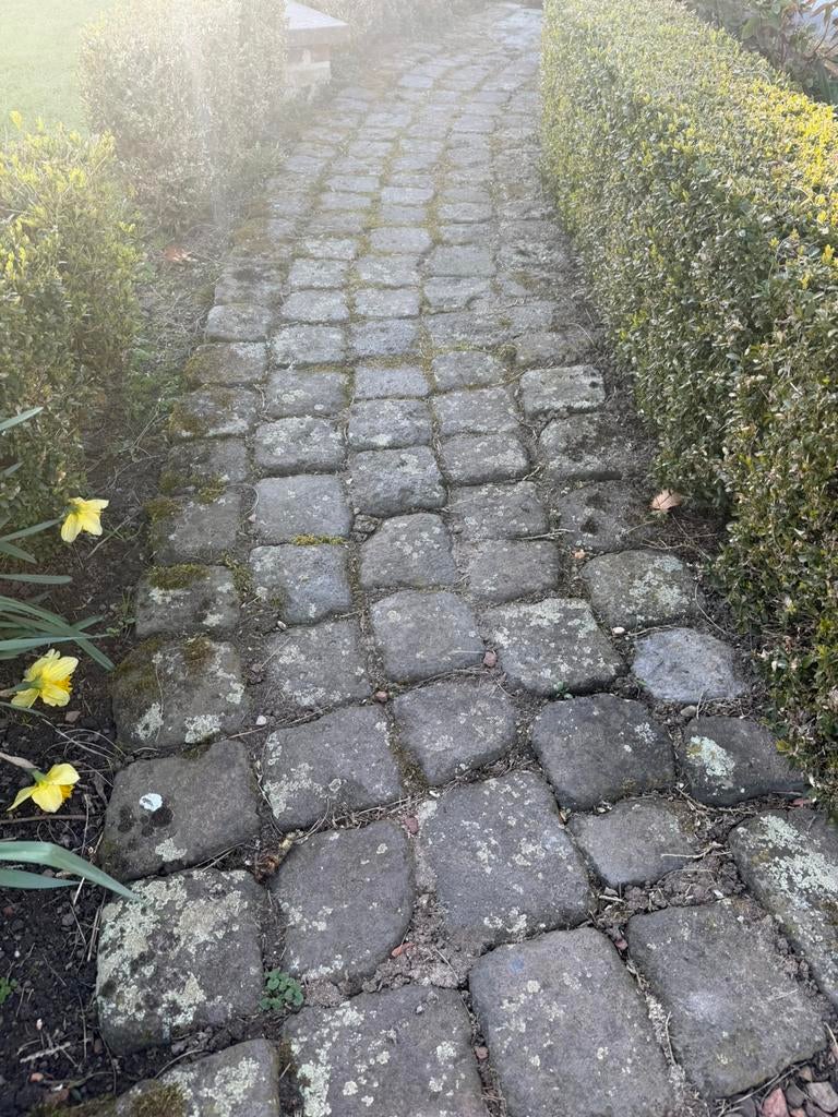 Echte oude kasseien, Ophalen, Gebruikt, 10 m² of meer, Overige typen