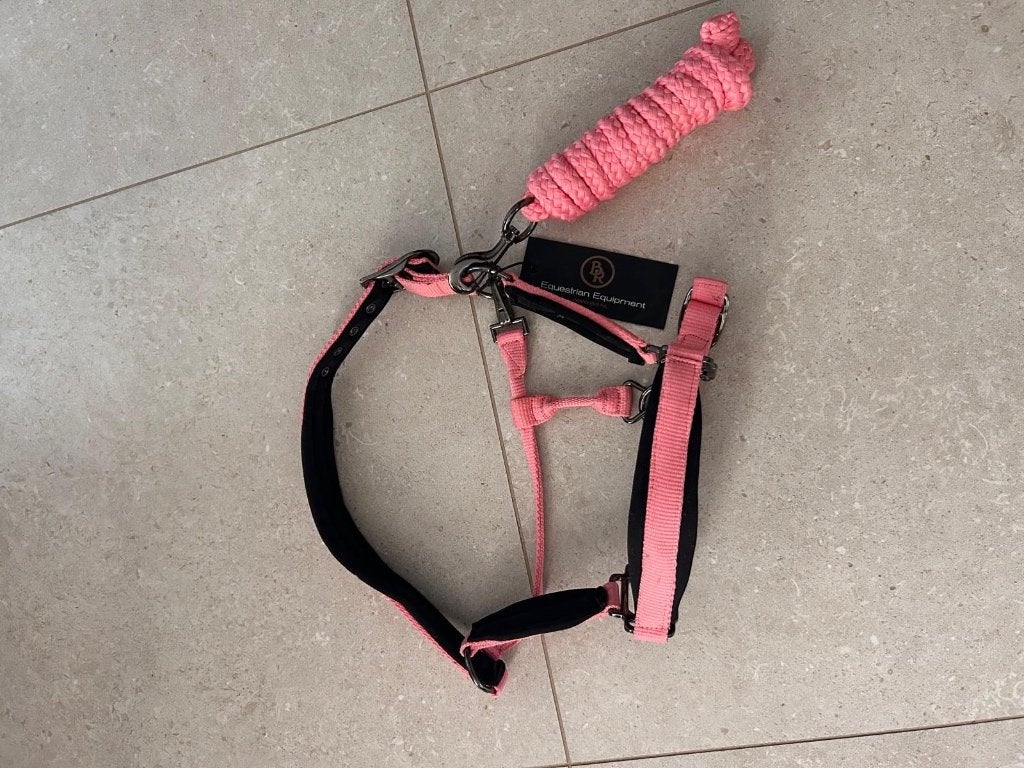 Nieuw halster en touw BR, Neuf, Enlèvement ou Envoi, Poney, Licou