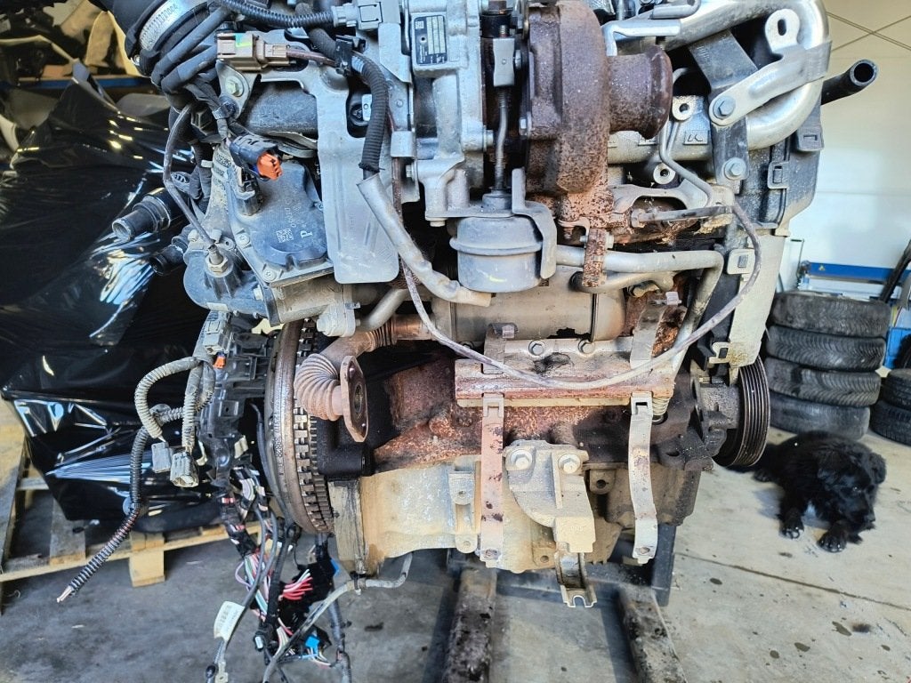 Moteur K9K646 Complet CAPTUR RENAULT, Envoi, Utilisé, Daihatsu
