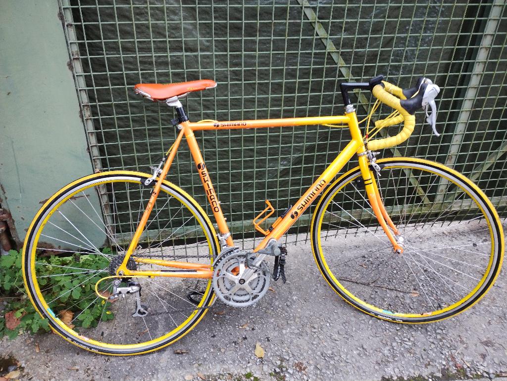 lot de vélo à vendre 200€, Vélos & Vélomoteurs, Vélos | Vélos de course, Autres marques, 10 à 15 vitesses, Frein sur jante, Acier