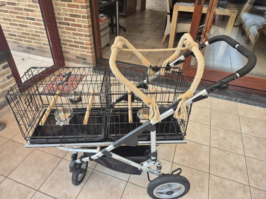 grijze roodstaart - buggy, Dieren en Toebehoren, Vogels | Parkieten en Papegaaien, Geslacht onbekend, Papegaai