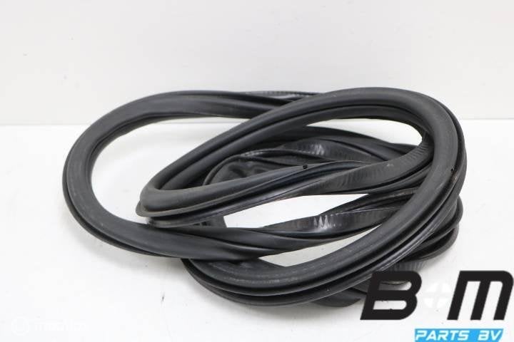 Portierrubber rechtsachter VW Jetta 5C 5C6867914H, Utilisé