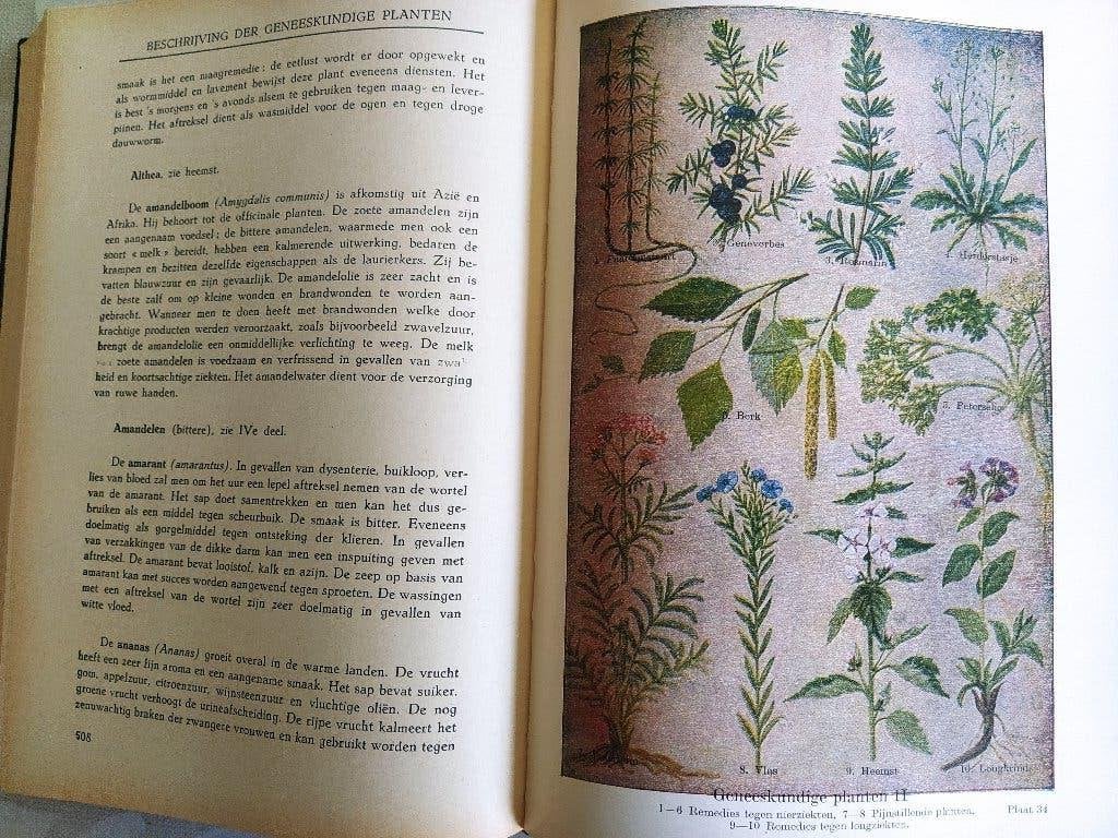 boek: de vrouw als huisdokter/Dr. Anna Fischer, Ophalen of Verzenden, Gelezen, Natuurwetenschap