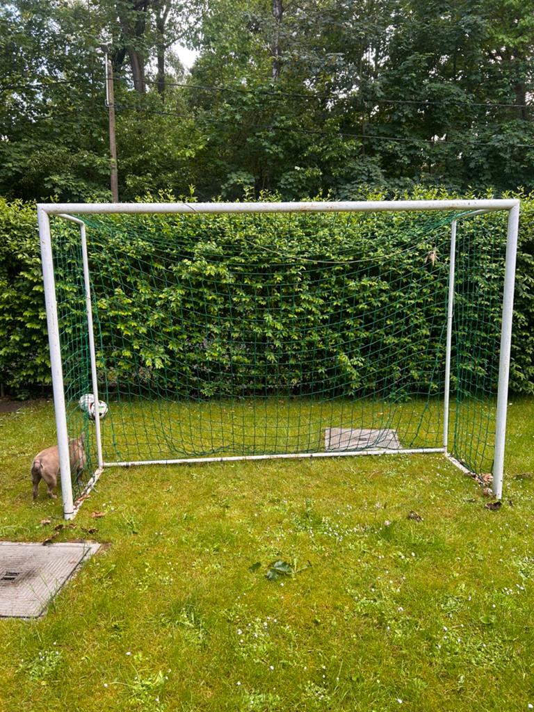 Degelijke ijzeren voetbalgoal, Sport en Fitness, Voetbal, Ophalen, Gebruikt