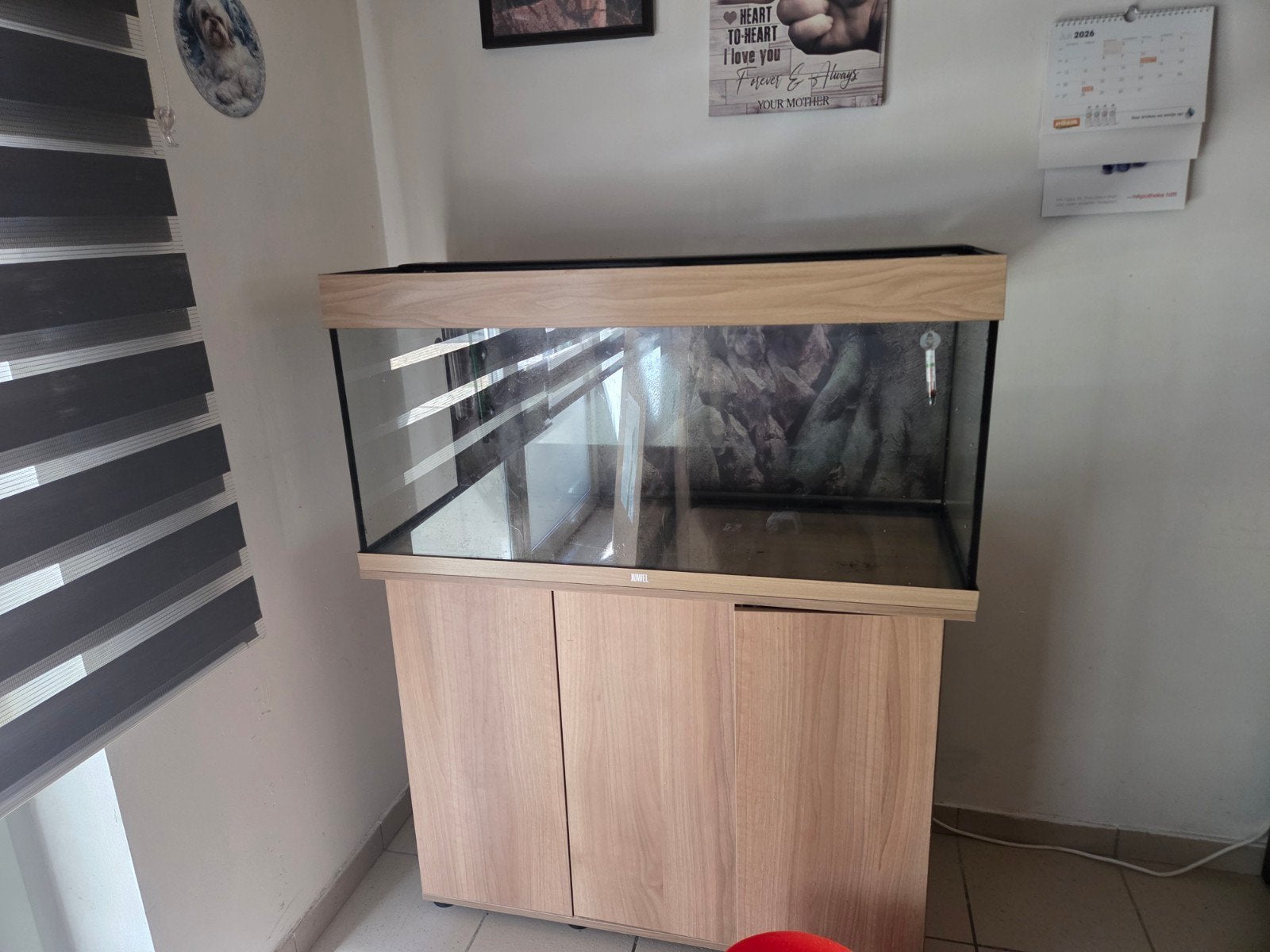 juwel rio 180 compleet + Filter + Kast, Ophalen