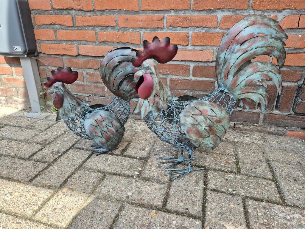 2 sierkippen, Ophalen