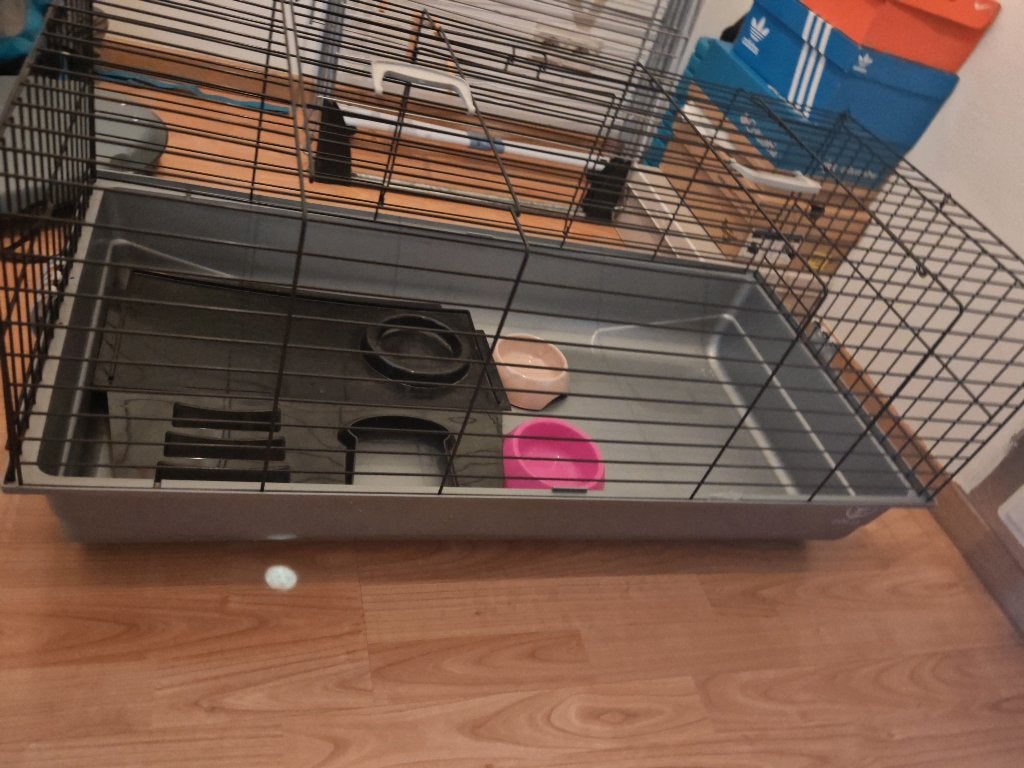Grande cage lapin, Animaux & Accessoires, Enlèvement, Utilisé, Cage, Rat
