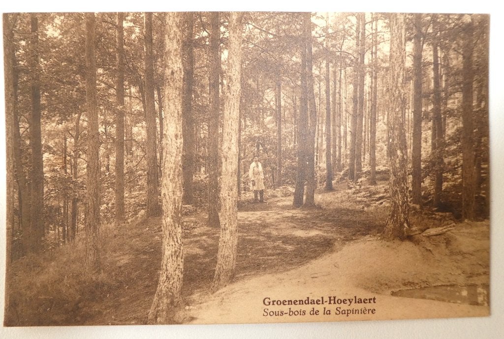 carte postale Hoeilaart - Groenendaal, Enlèvement ou Envoi