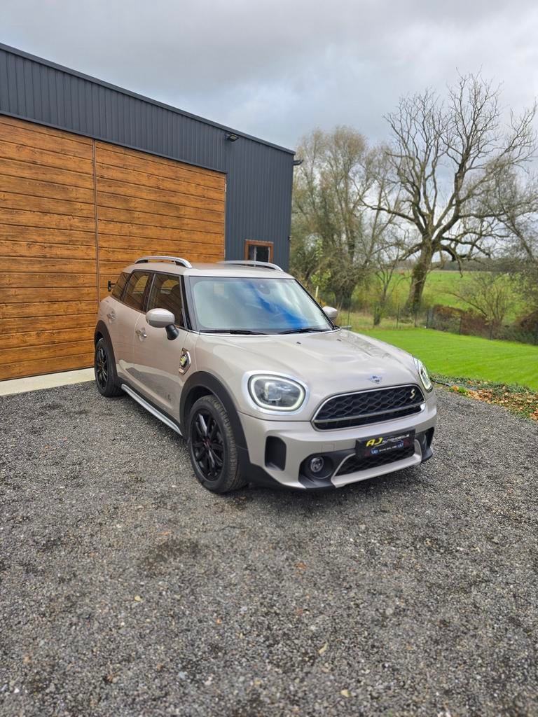 Mini Cooper S Countryman SE Alle 4, Automaat, Lederen bekleding, Leder, Bedrijf