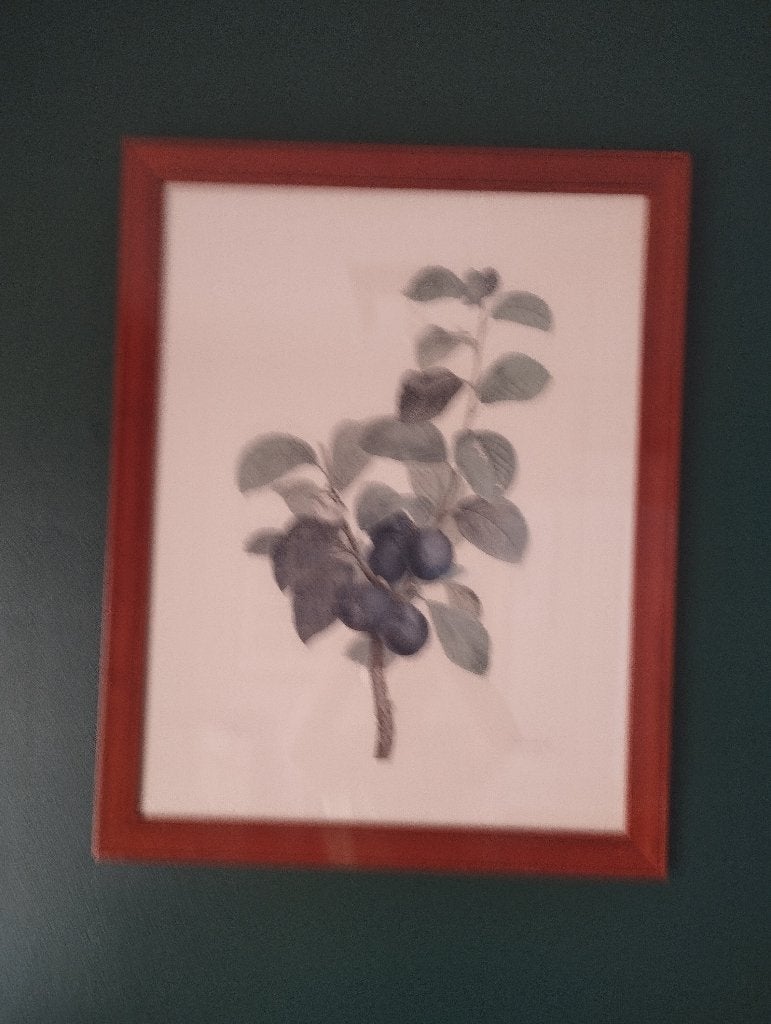 prent te koop, Ophalen, 1980 tot heden, Zo goed als nieuw, Prent